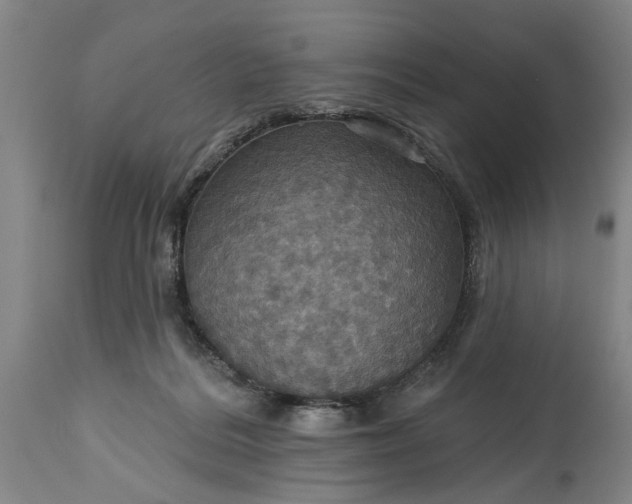 X0000115450220200911181555