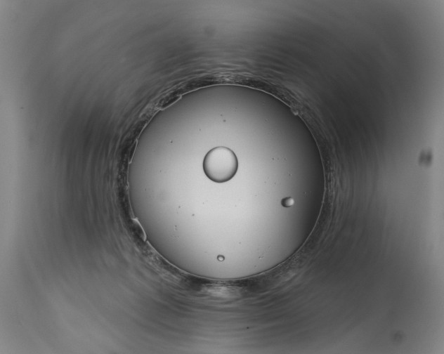 X0000115450221200911181555