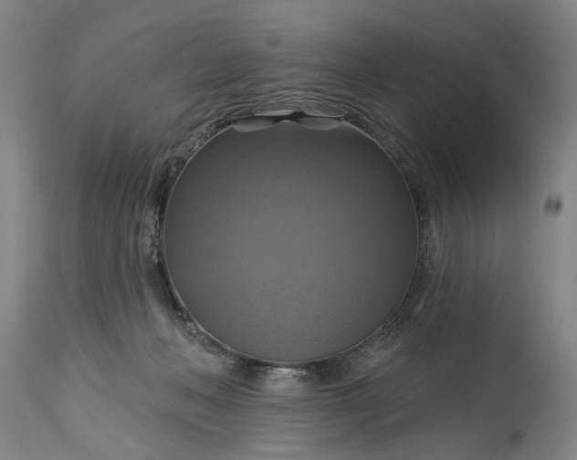 X0000115450222200911181555