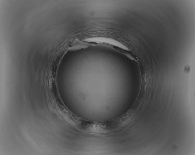 X0000115450223200911181555