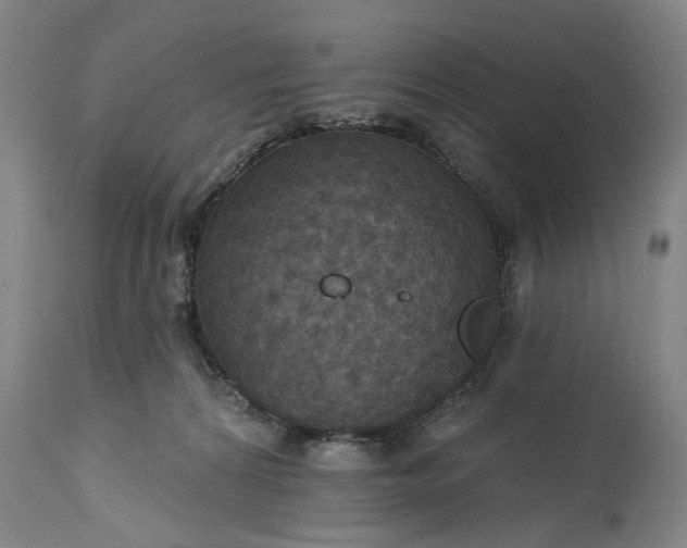 X0000115450224200911181555