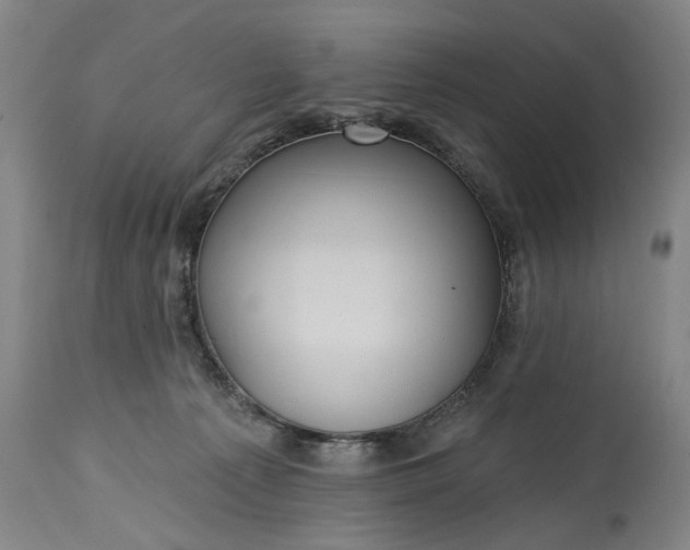 X0000115450225200911181555