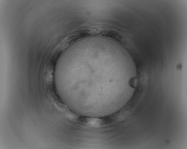 X0000115450226200911181555