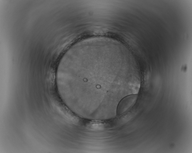 X0000115450228200911181555