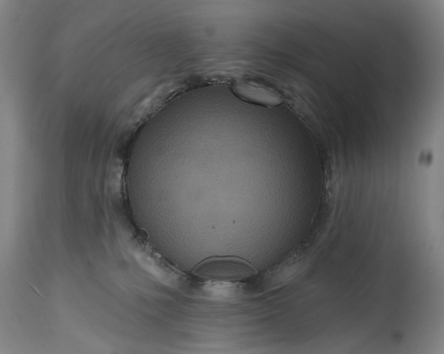 X0000115450231200911181554