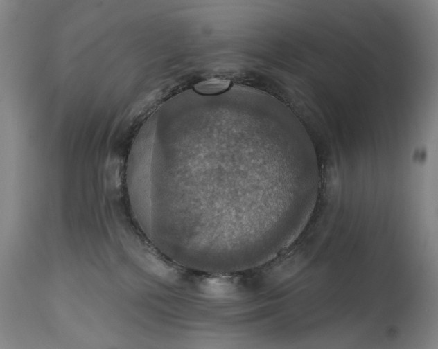 X0000115450232200911181554