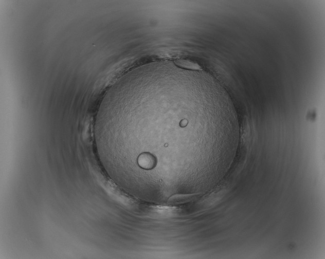 X0000115450233200911181554