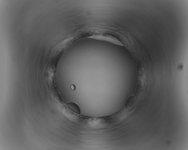 X0000115450235200911181554