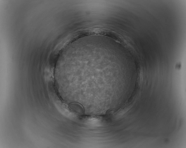 X0000115450236200911181554