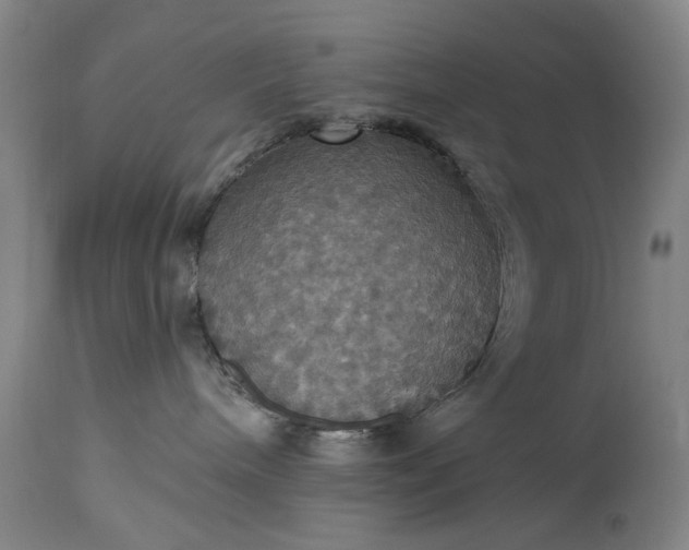 X0000115450240200911181554