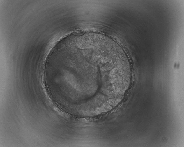 X0000115450241200911181554