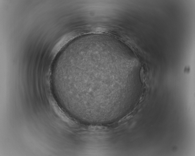 X0000115450242200911181554