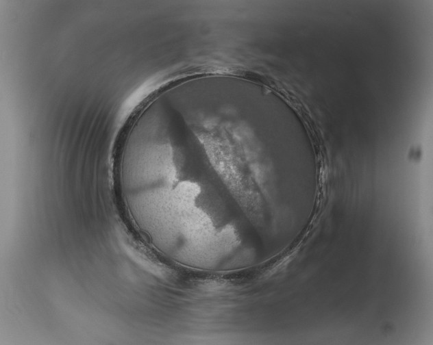 X0000115450246200911181554