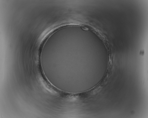 X0000115450247200911181554