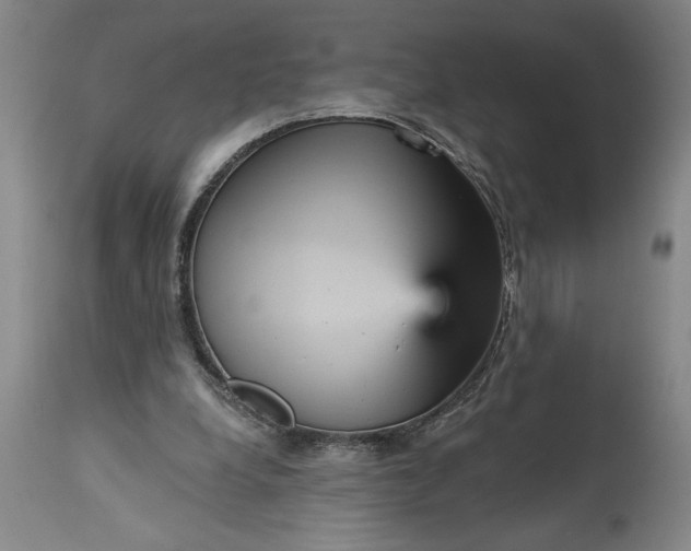 X0000115450248200911181554