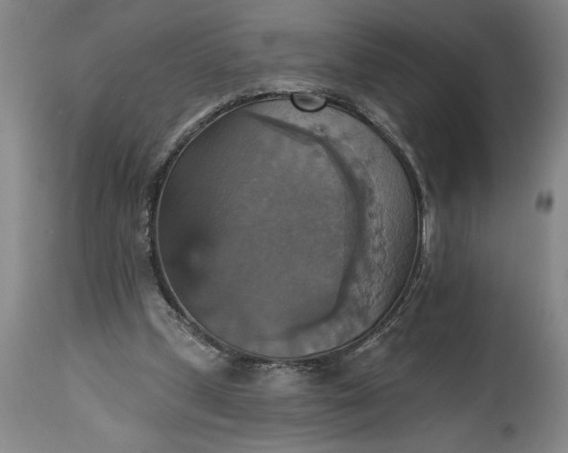 X0000115450249200911181554