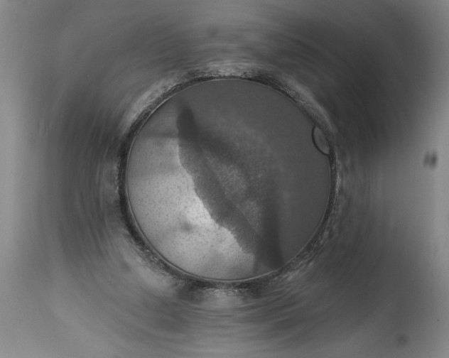 X0000115450250200911181554