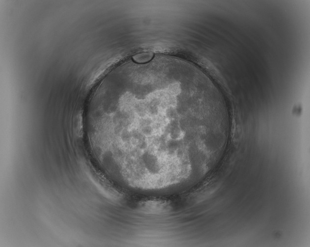 X0000115450251200911181554