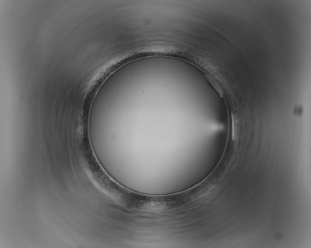 X0000115450252200911181554