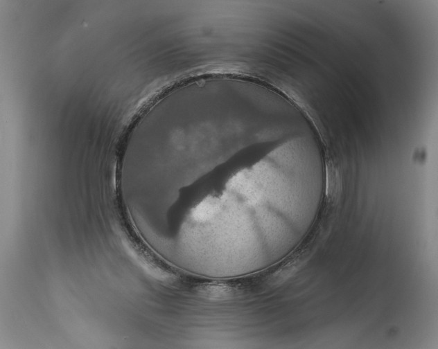 X0000115450253200911181554