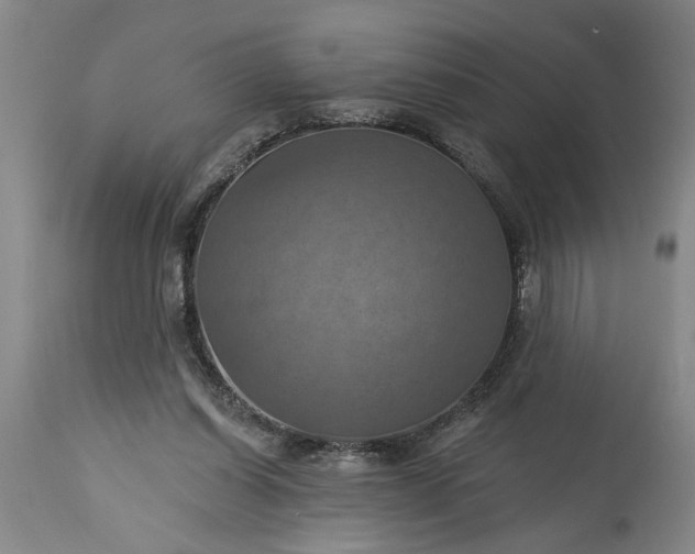 X0000115450254200911181554