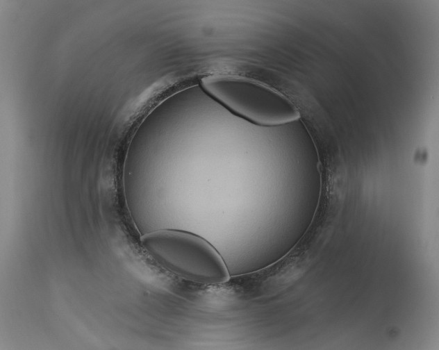 X0000115450256200911181554