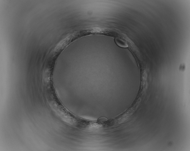 X0000115450257200911181554