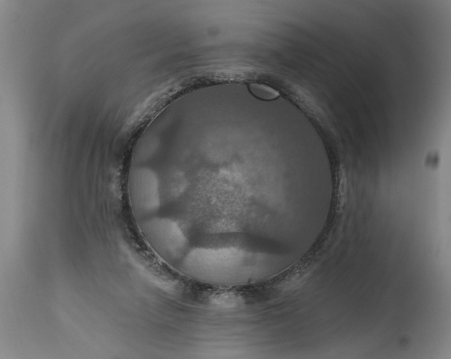 X0000115450258200911181554