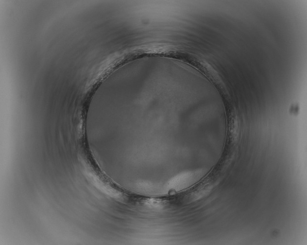 X0000115450261200911181554