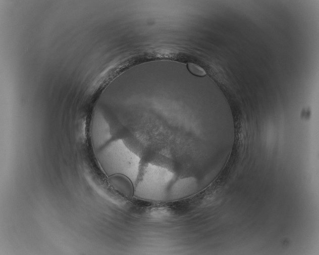 X0000115450262200911181554