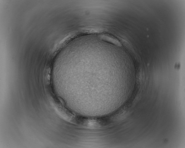 X0000115450264200911181554