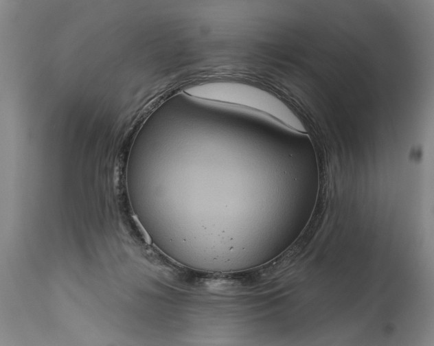 X0000115450268200911181554