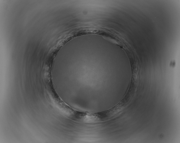 X0000115450270200911181554