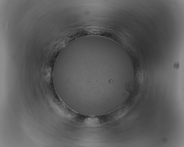 X0000115450271200911181554