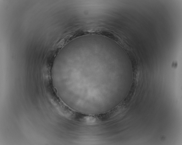 X0000115450272200911181554