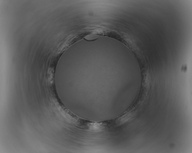 X0000115450273200911181554