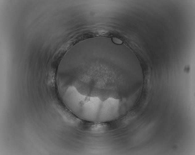 X0000115450274200911181554