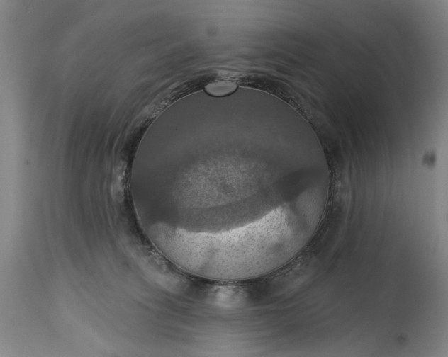 X0000115450275200911181554