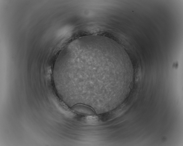 X0000115450279200911181554