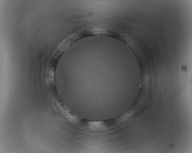 X0000115450281200911181554