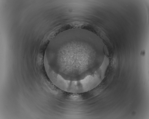 X0000115450283200911181554