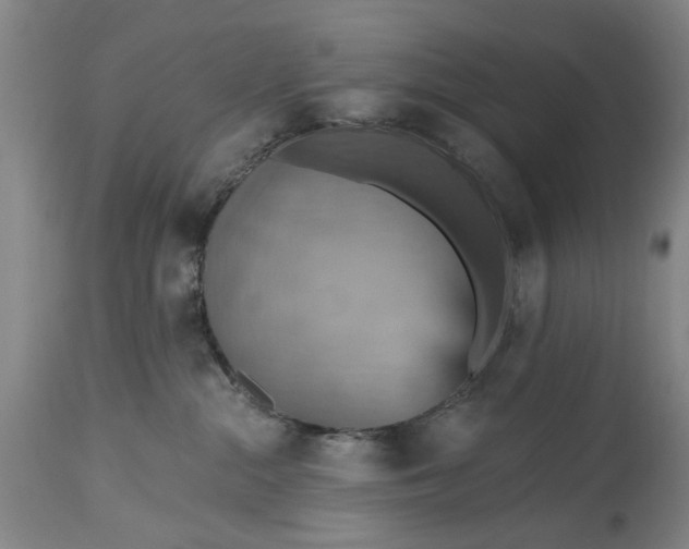 X0000115450284200911181554