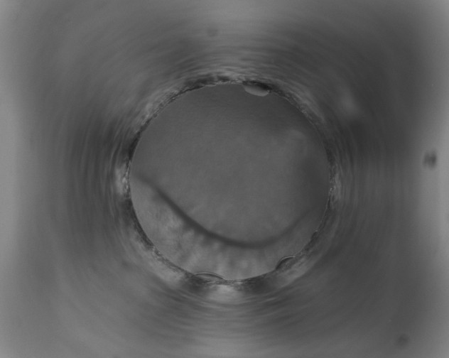 X0000115450285200911181554