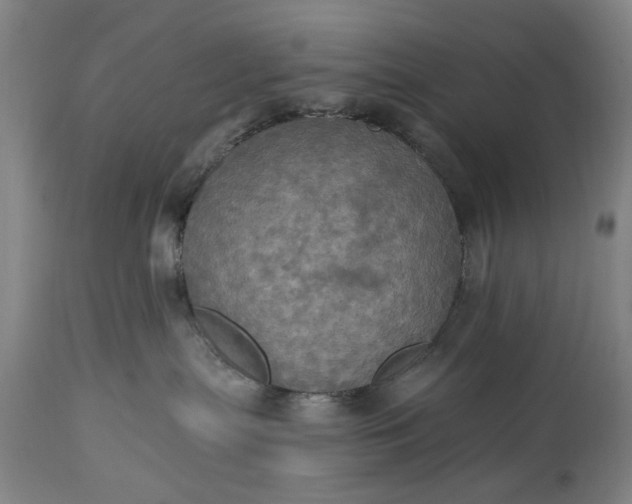 X0000115450287200911181554