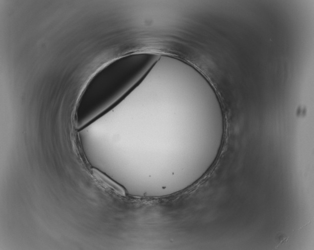 X0000115450289200911181553