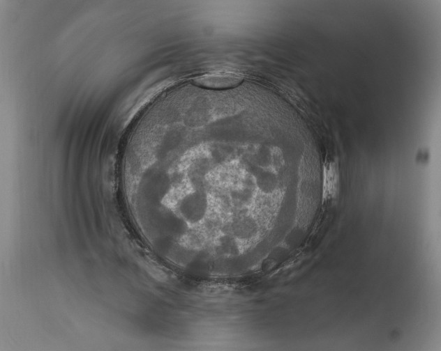 X0000115450291200911181553