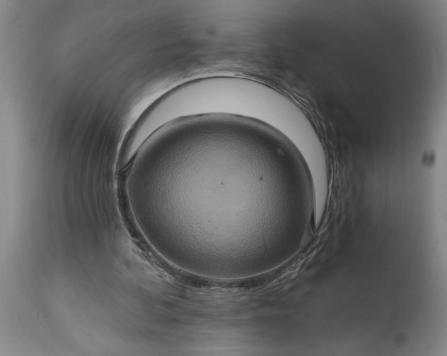 X0000115450292200911181553