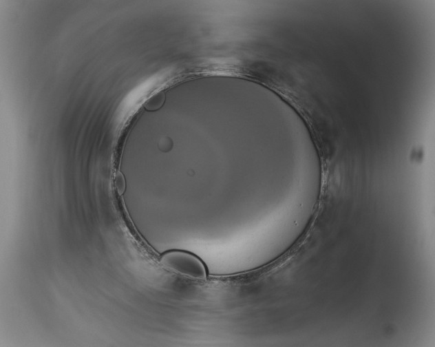 X0000115450293200911181553