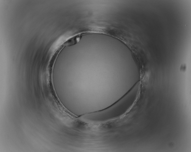 X0000115450294200911181553