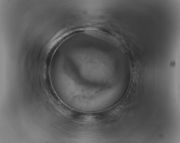 X0000115450295200911181553